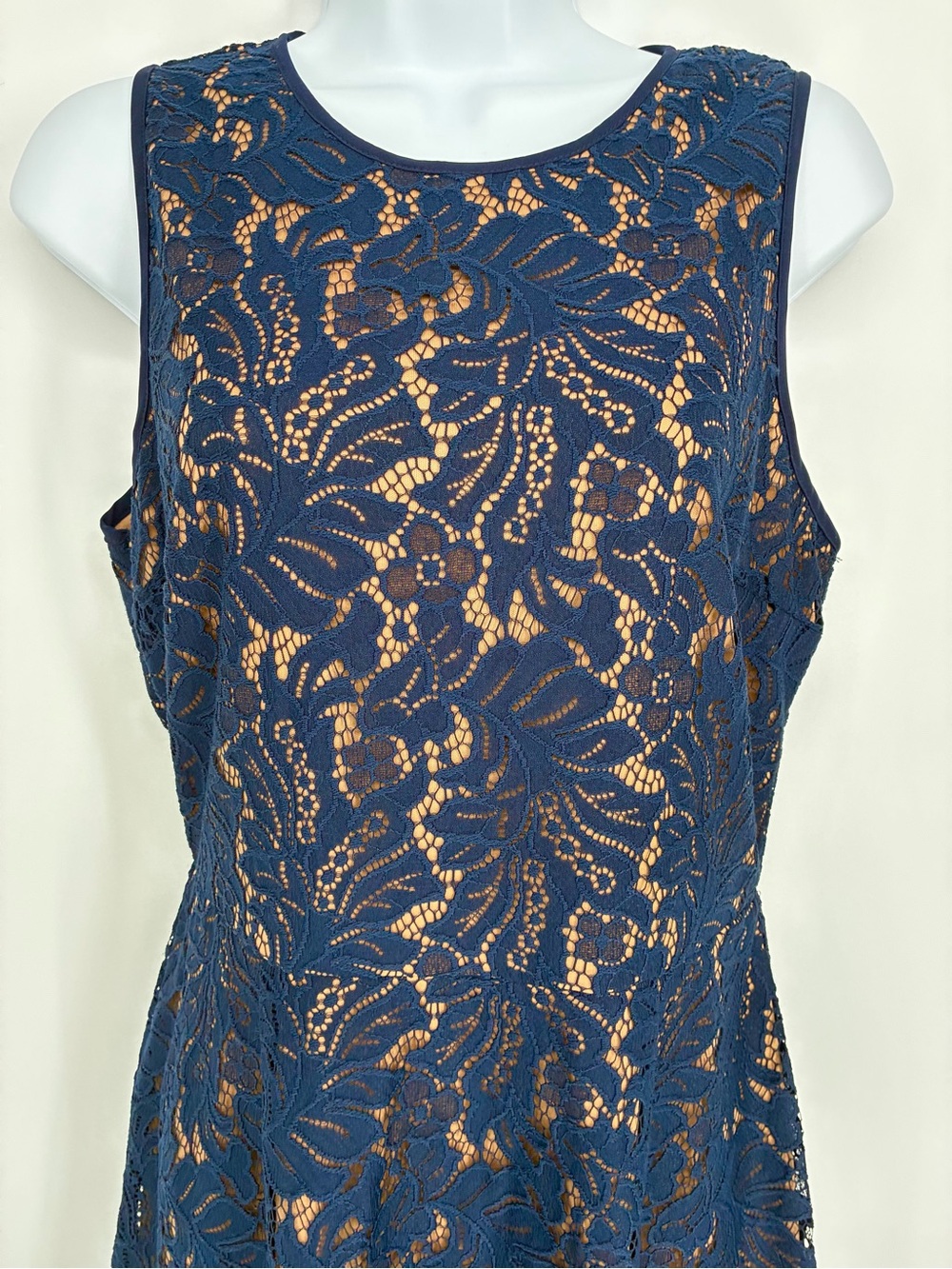 Banana Republic Navy Floral Lace Overlay Fit and Flare Dress 6
